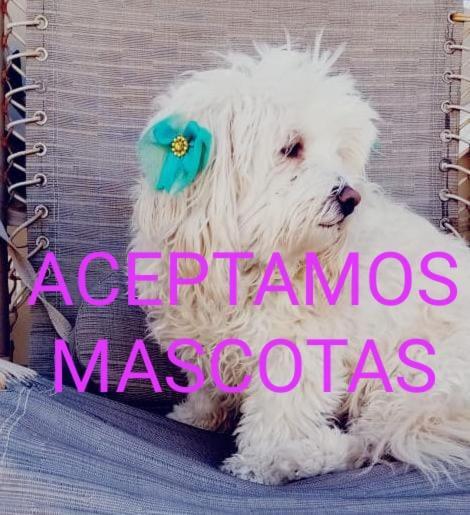 Canela Apartment, Pet Friendly Puerto Penasco Bagian luar foto